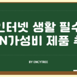 인터넷 생활 필수품 VPN, 가성비 제품 추천